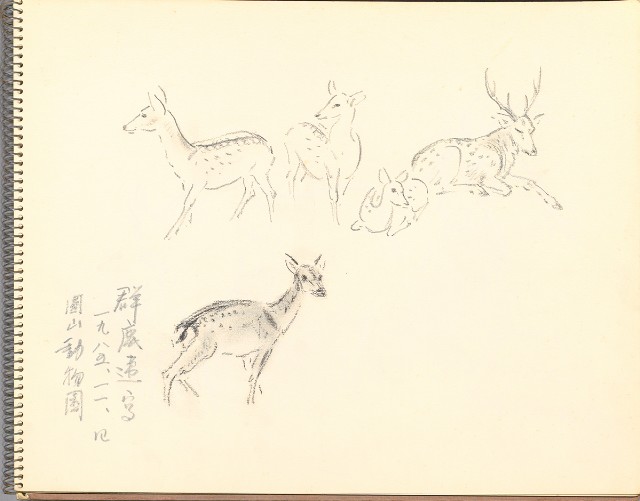 藏品:鷺、羊、鹿、海景等049的(15)張圖片