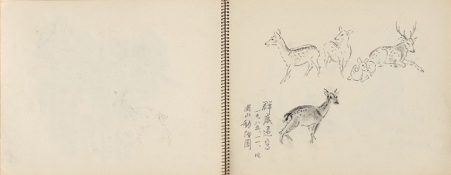 藏品:動物、植物、北海岸景觀寫生集的(15)張圖片