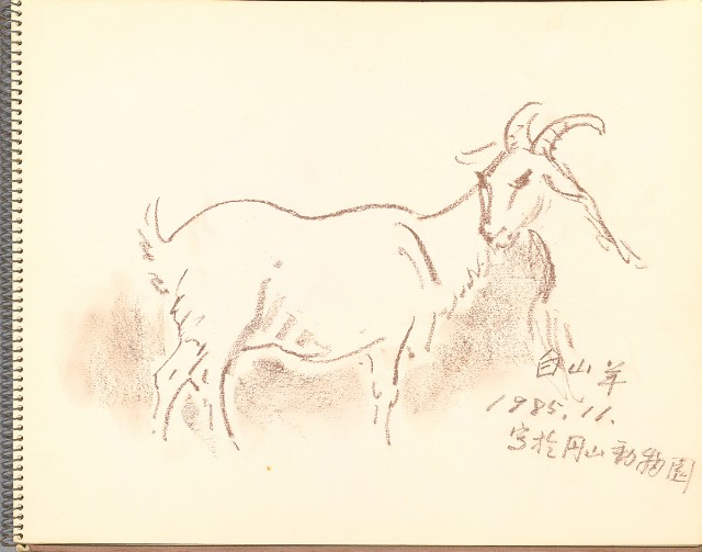 藏品:鷺、羊、鹿、海景等049的(16)張圖片