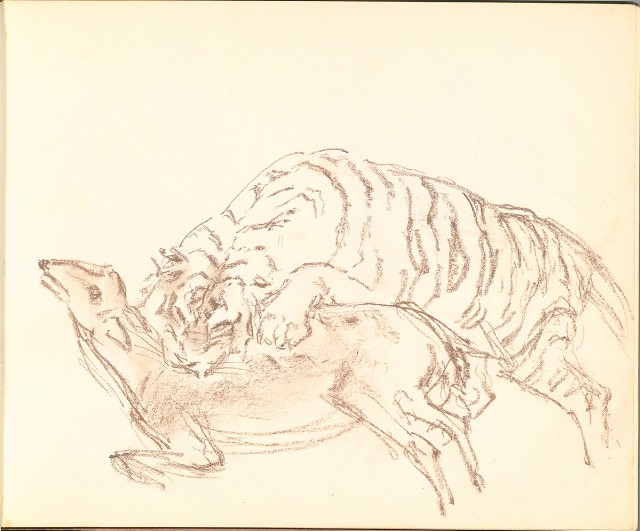 藏品:鷺、羊、鹿、海景等049的(18)張圖片