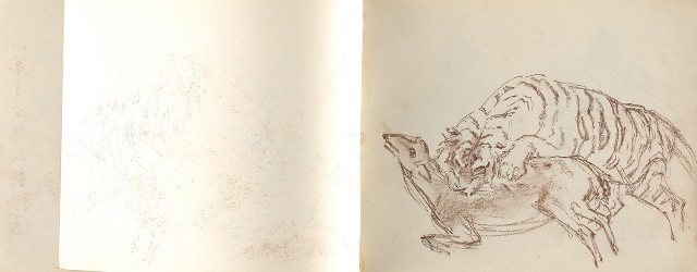 藏品:動物、植物、北海岸景觀寫生集的(18)張圖片
