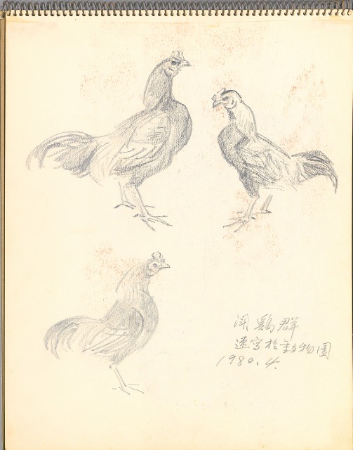 藏品:鷺、羊、鹿、海景等049的(19)張圖片