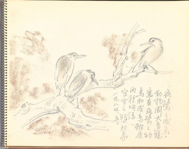 藏品:鷺、羊、鹿、海景等049的(20)張圖片