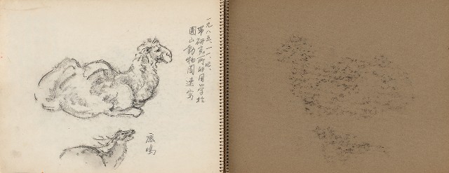 藏品:動物、植物、北海岸景觀寫生集的(25)張圖片