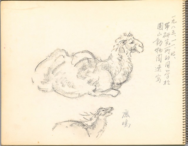 藏品:鷺、羊、鹿、海景等049的(26)張圖片