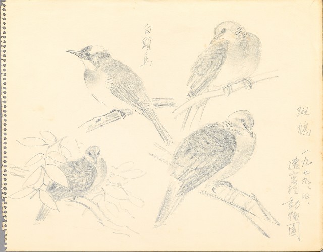 藏品:鷺、羊、鹿、海景等049的(28)張圖片