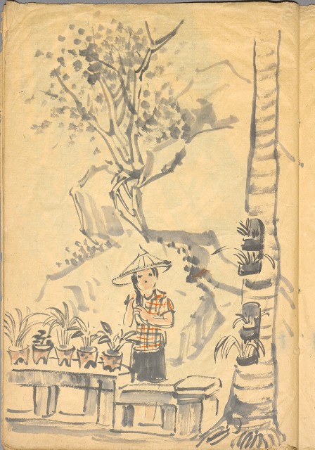 藏品:模特兒、南部村、鳥等052-1的(5)張圖片