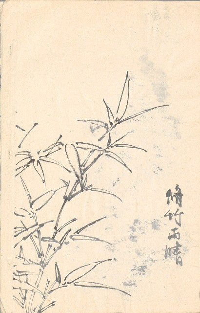 藏品:模特兒、南部村、鳥等052-2的(3)張圖片