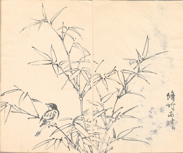 藏品:模特兒、南部村、鳥等052-2的(5)張圖片
