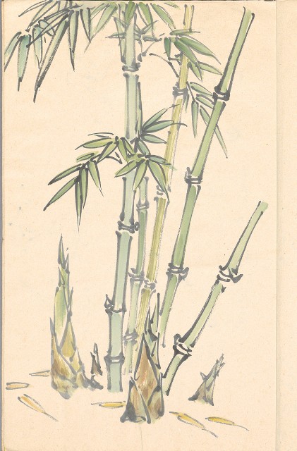 藏品:模特兒、南部村、鳥等052-2的(6)張圖片