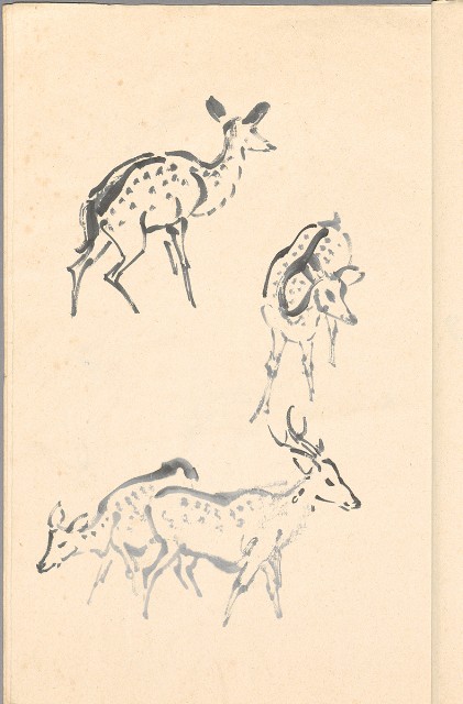 藏品:模特兒、南部村、鳥等052-2的(8)張圖片