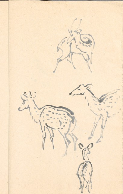 藏品:景觀、動物及植物畫稿集的(9)張圖片