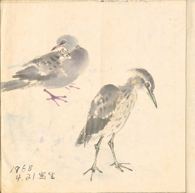 藏品:模特兒、南部村、鳥等052-3的(2)張圖片