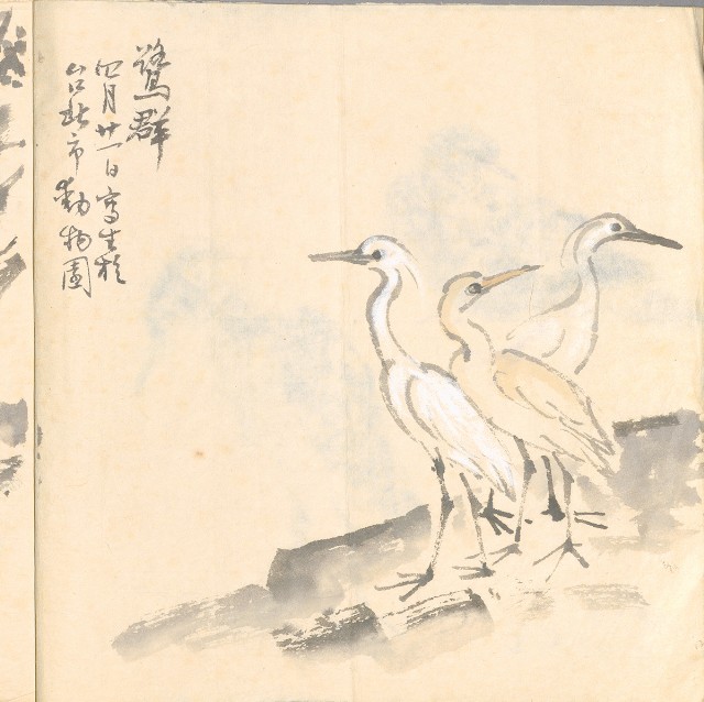 藏品:模特兒、南部村、鳥等052-3的(3)張圖片