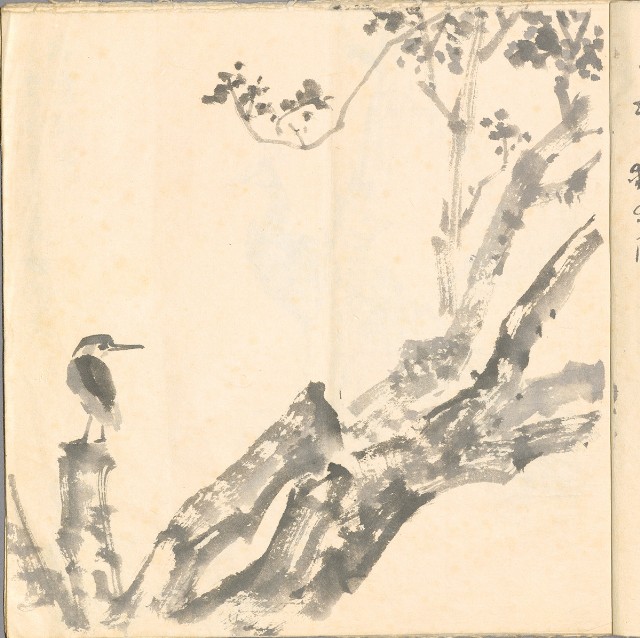 藏品:模特兒、南部村、鳥等052-3的(4)張圖片