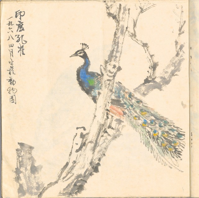 藏品:動物園寫生的(5)張圖片