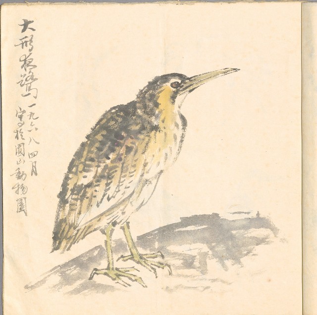 藏品:模特兒、南部村、鳥等052-3的(6)張圖片