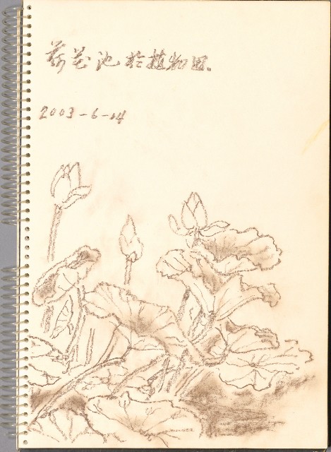 藏品:遊泰國之景色055的(23)張圖片