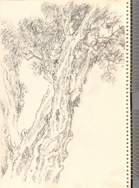 藏品:遊泰國之景色055的(24)張圖片