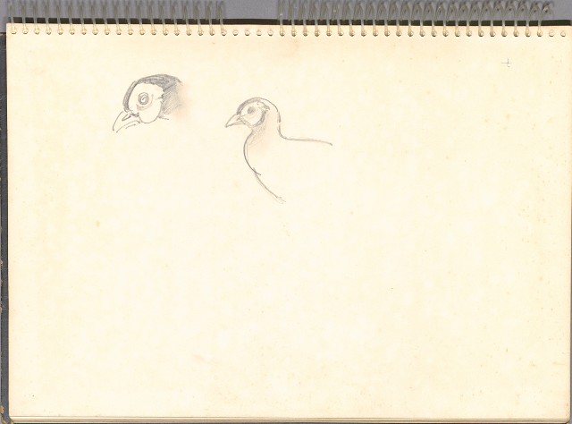 藏品:遊泰國之景色055的(27)張圖片