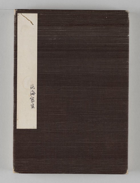 藏品:濱海沿途海岸056的(1)張圖片