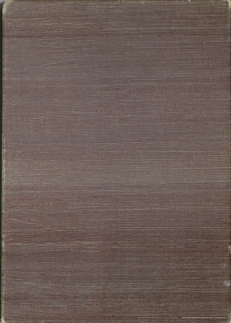 藏品:濱海沿途海岸056的(15)張圖片