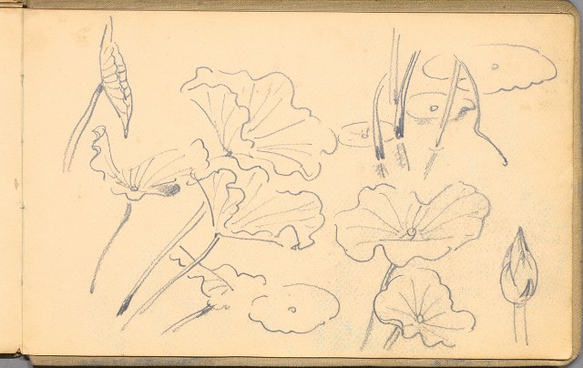 藏品:日籍時期婦女及狼犬等058的(9)張圖片