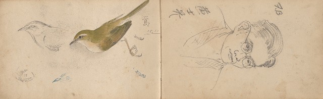 藏品:日治時期景觀及動物等寫生集的(16)張圖片