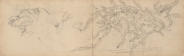 藏品:日治時期景觀及動物等寫生集的(18)張圖片
