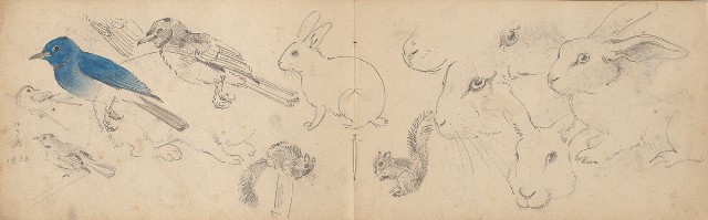 藏品:日治時期景觀及動物等寫生集的(23)張圖片