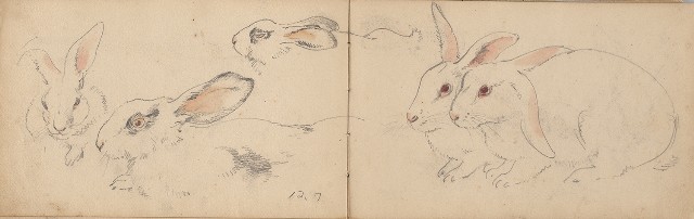 藏品:日治時期景觀及動物等寫生集的(24)張圖片