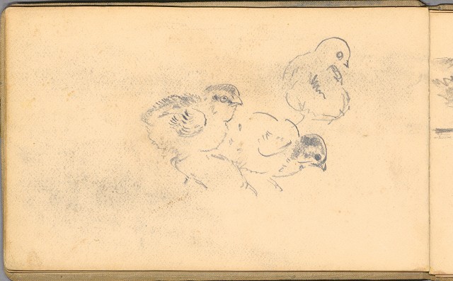 藏品:日籍時期婦女及狼犬等058的(25)張圖片