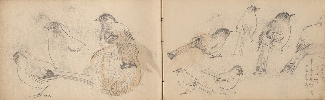 藏品:日治時期景觀及動物等寫生集的(27)張圖片