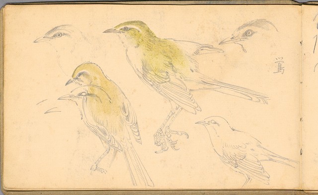 藏品:日籍時期婦女及狼犬等058的(27)張圖片