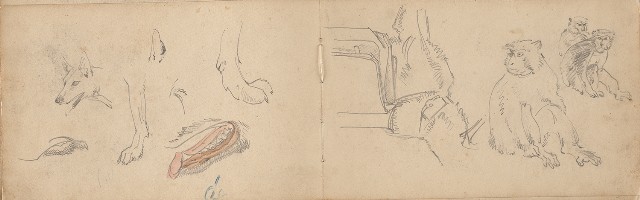 藏品:日治時期景觀及動物等寫生集的(29)張圖片
