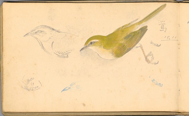 藏品:日籍時期婦女及狼犬等058的(29)張圖片