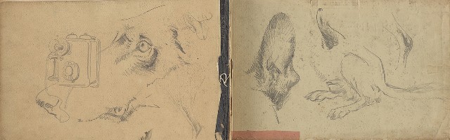 藏品:日治時期景觀及動物等寫生集的(32)張圖片