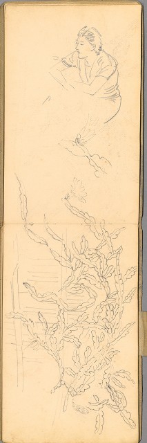 藏品:日籍時期婦女及狼犬等058的(33)張圖片