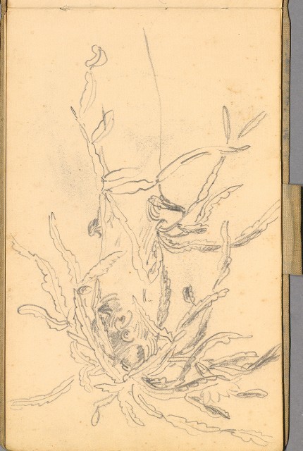 藏品:日籍時期婦女及狼犬等058的(35)張圖片