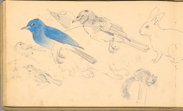 藏品:日籍時期婦女及狼犬等058的(42)張圖片