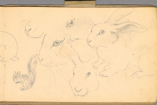 藏品:日籍時期婦女及狼犬等058的(43)張圖片