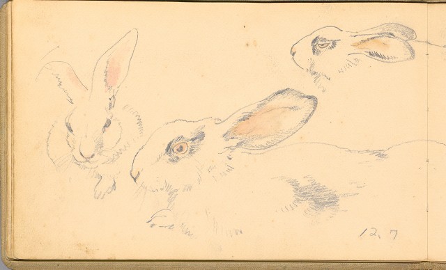 藏品:日籍時期婦女及狼犬等058的(44)張圖片