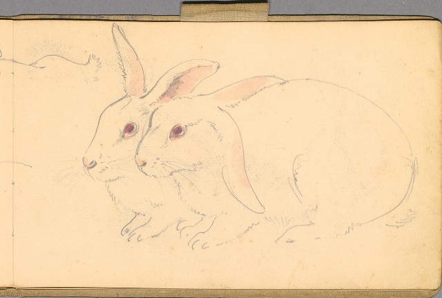 藏品:日籍時期婦女及狼犬等058的(45)張圖片