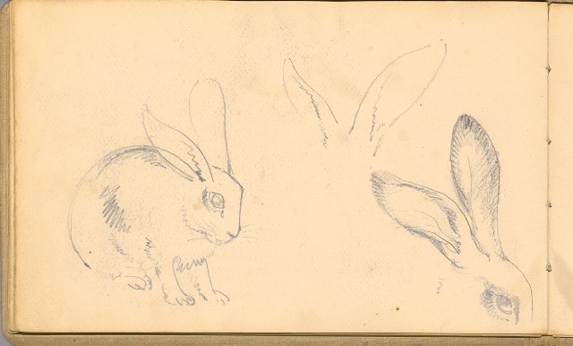 藏品:日籍時期婦女及狼犬等058的(46)張圖片