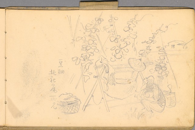 藏品:日籍時期婦女及狼犬等058的(47)張圖片