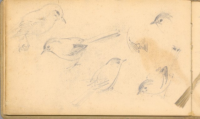 藏品:日籍時期婦女及狼犬等058的(48)張圖片