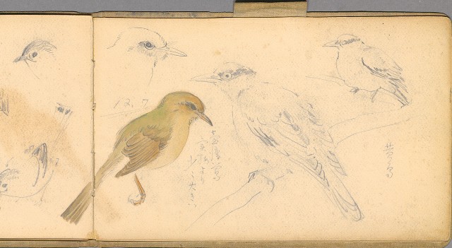 藏品:日籍時期婦女及狼犬等058的(49)張圖片