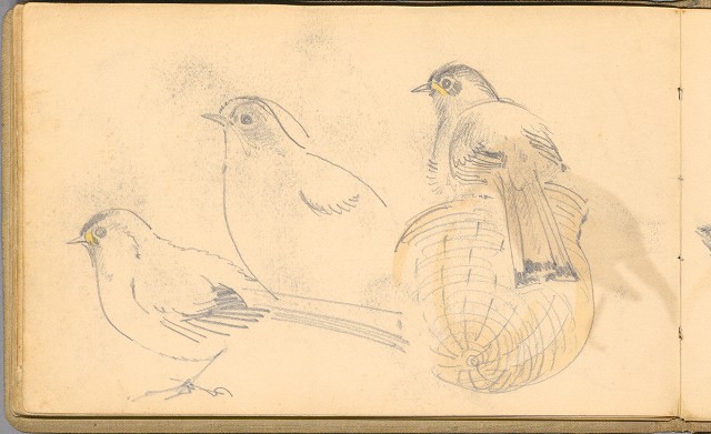 藏品:日籍時期婦女及狼犬等058的(50)張圖片