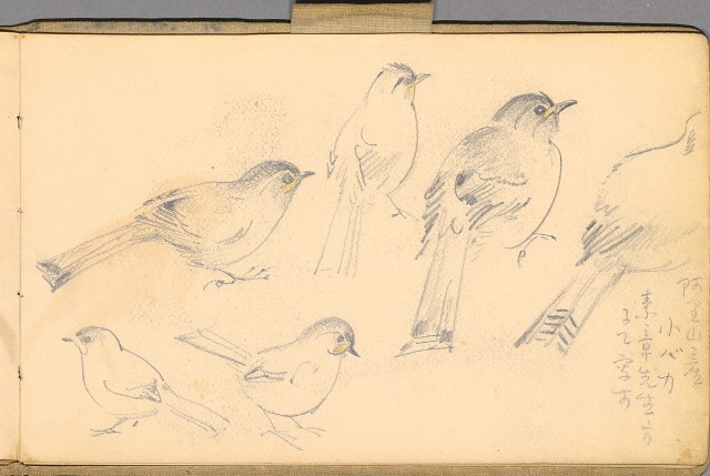 藏品:日籍時期婦女及狼犬等058的(51)張圖片