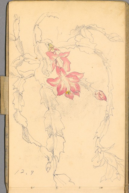 藏品:日籍時期婦女及狼犬等058的(53)張圖片